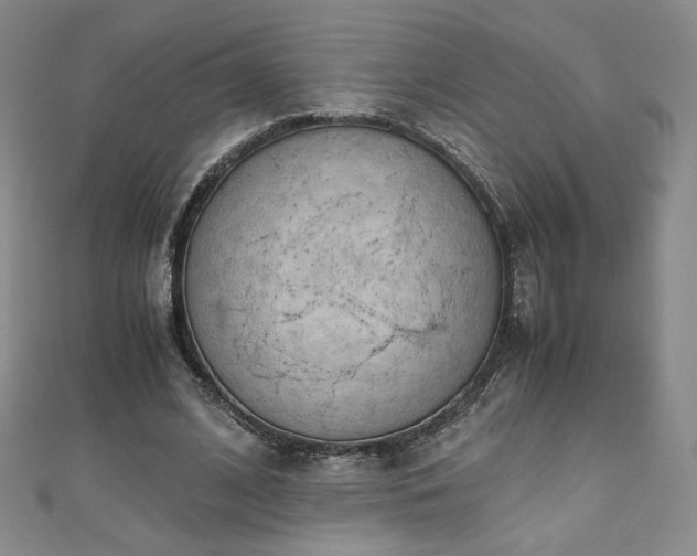 X0000111010584200906191613