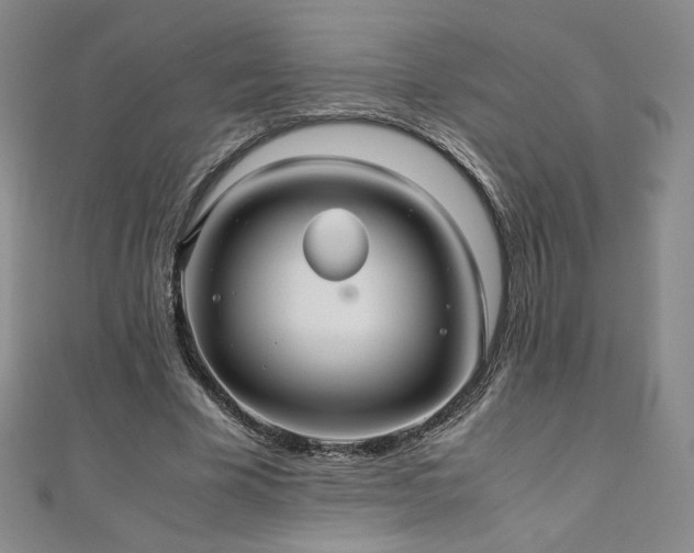 X0000111010585200906191613