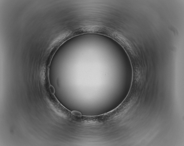 X0000111010586200906191613
