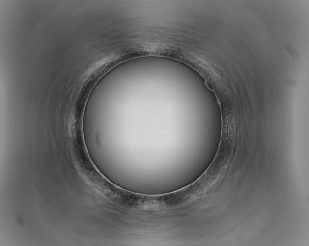 X0000111010587200906191613