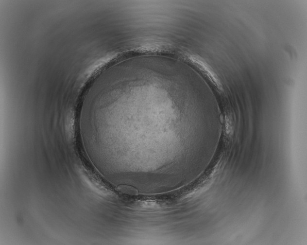 X0000111010588200906191613