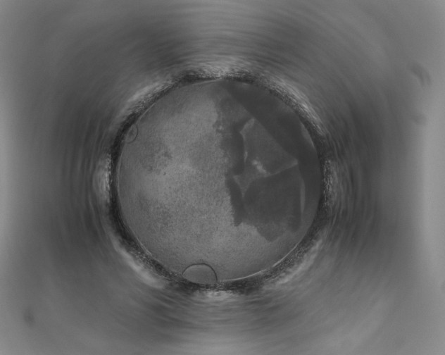 X0000111010590200906191613