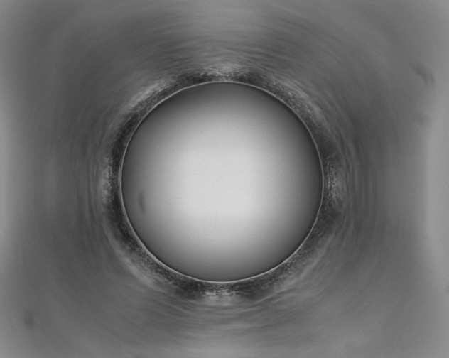 X0000111010591200906191613