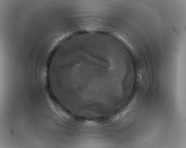 X0000111010592200906191613