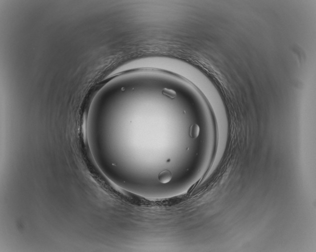 X0000111010593200906191613