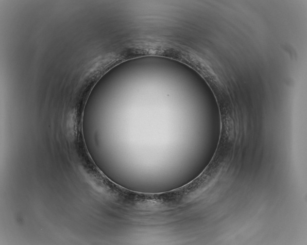 X0000111010594200906191613