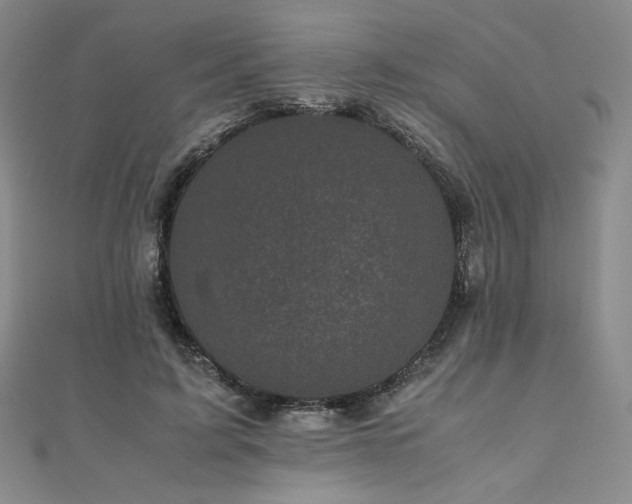 X0000111010595200906191613