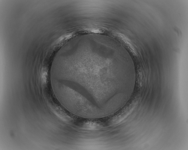 X0000111010596200906191613