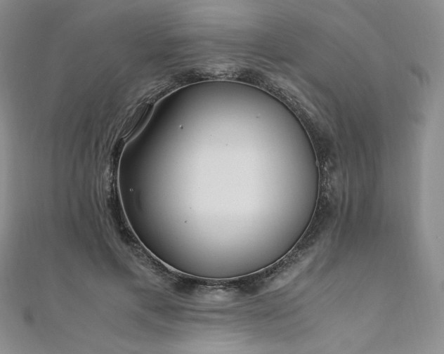 X0000111010597200906191613
