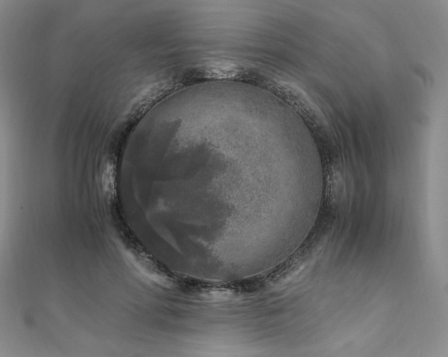 X0000111010598200906191613