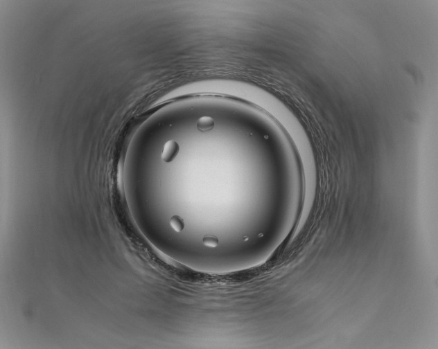 X0000111010599200906191613