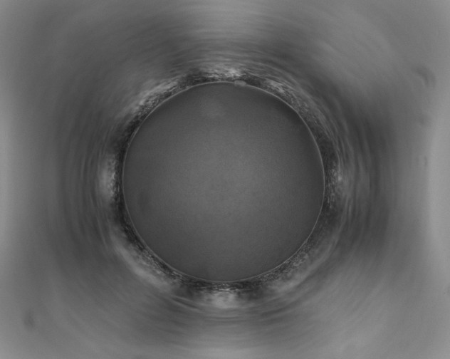 X0000111010600200906191613