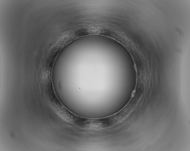 X0000111010601200906191613