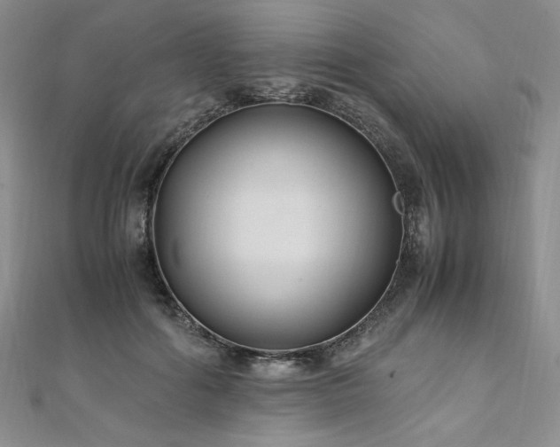 X0000111010602200906191613