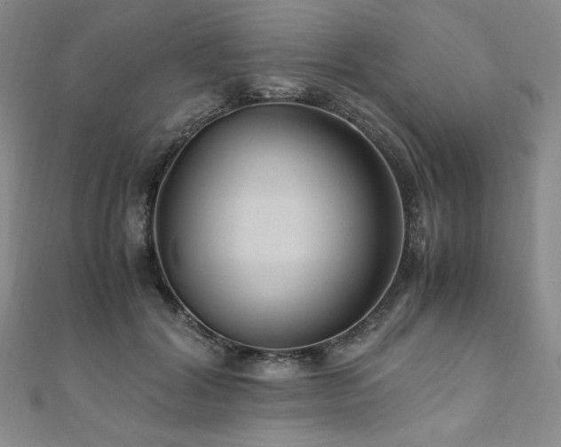 X0000111010604200906191613