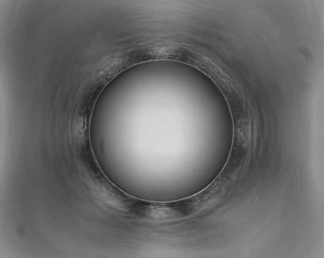 X0000111010605200906191613