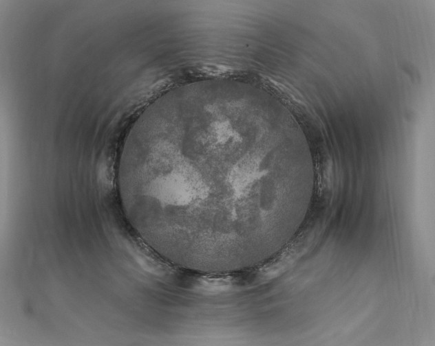 X0000111010606200906191613