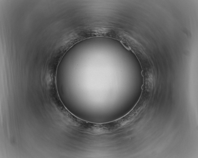 X0000111010608200906191613