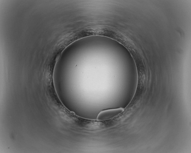 X0000111010609200906191613