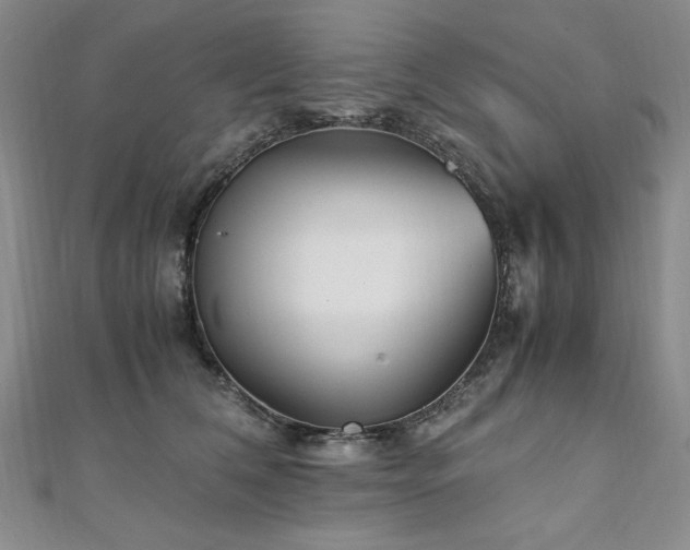 X0000111010612200906191613