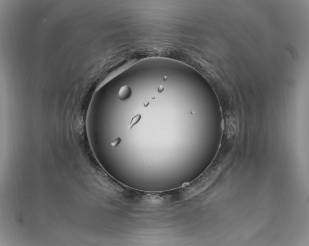 X0000111010613200906191613