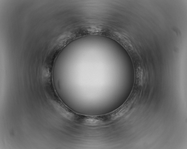 X0000111010614200906191613