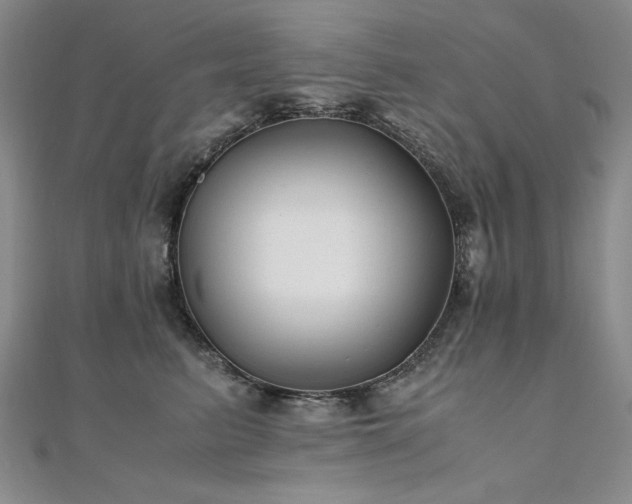 X0000111010615200906191613