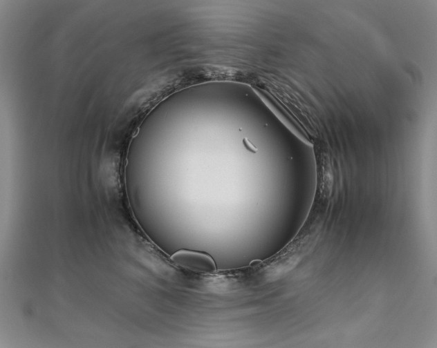 X0000111010616200906191613