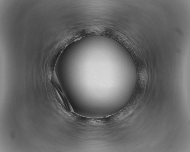 X0000111010617200906191613