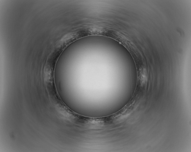 X0000111010619200906191613