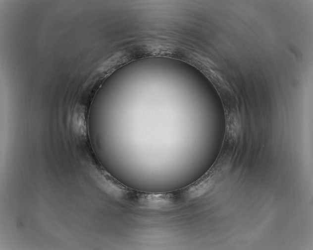 X0000111010622200906191613