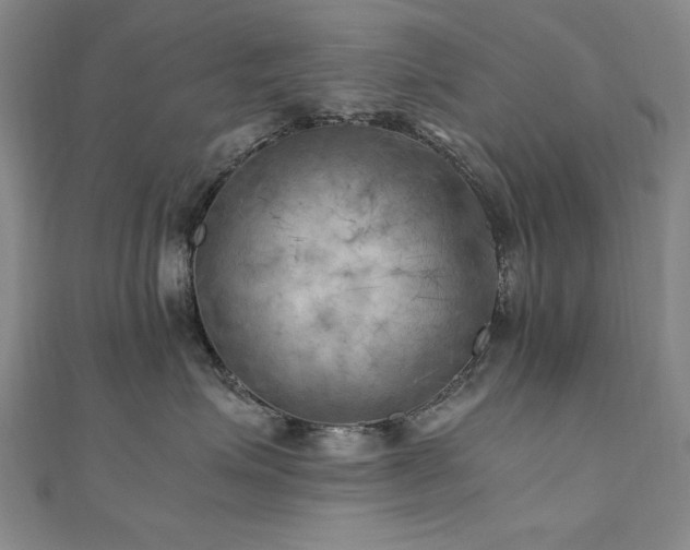 X0000111010623200906191613