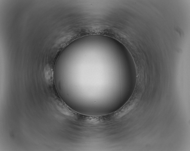 X0000111010624200906191613