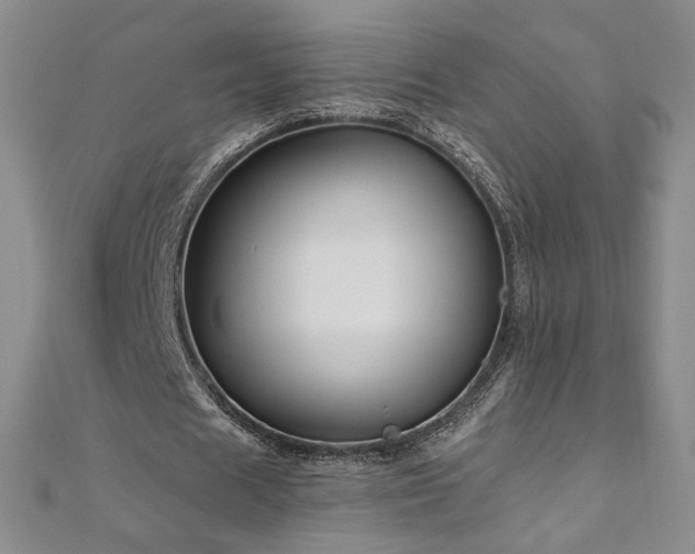 X0000111010625200906191612