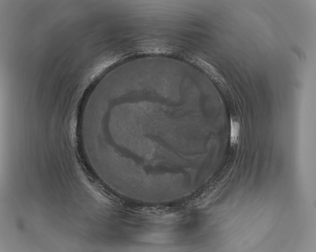 X0000111010627200906191612