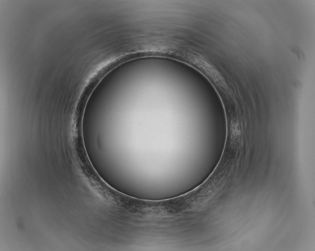 X0000111010628200906191612