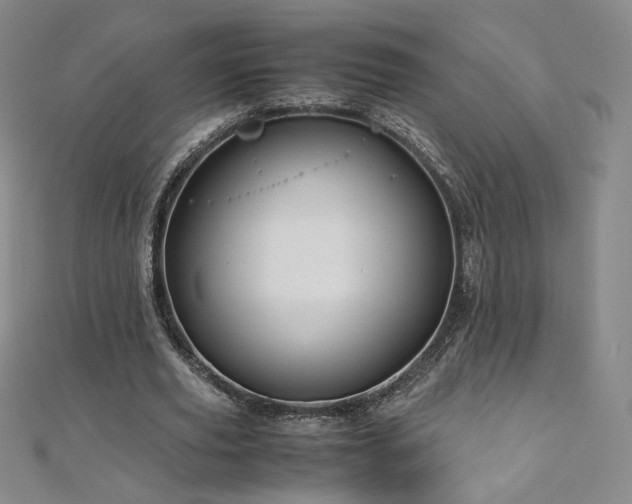 X0000111010629200906191612