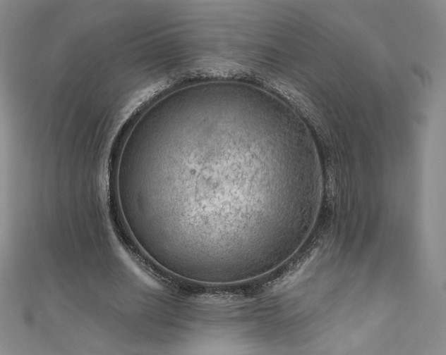 X0000111010630200906191612