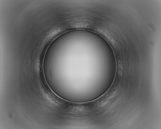 X0000111010631200906191612