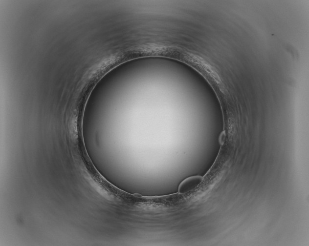 X0000111010633200906191612