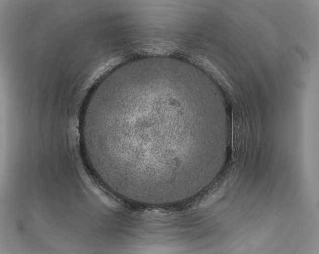 X0000111010634200906191612
