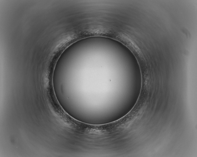 X0000111010635200906191612