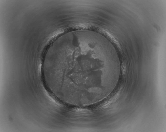 X0000111010637200906191612