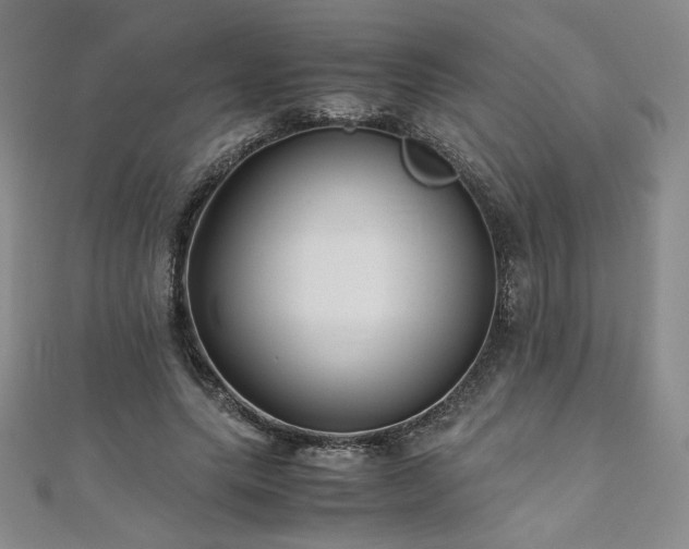 X0000111010639200906191612