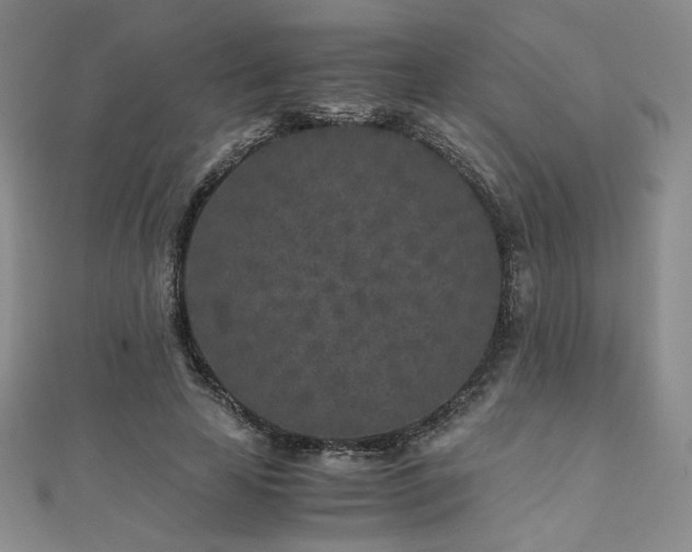 X0000111010641200906191612