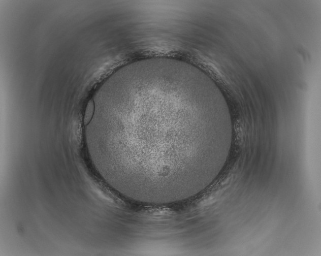 X0000111010642200906191612