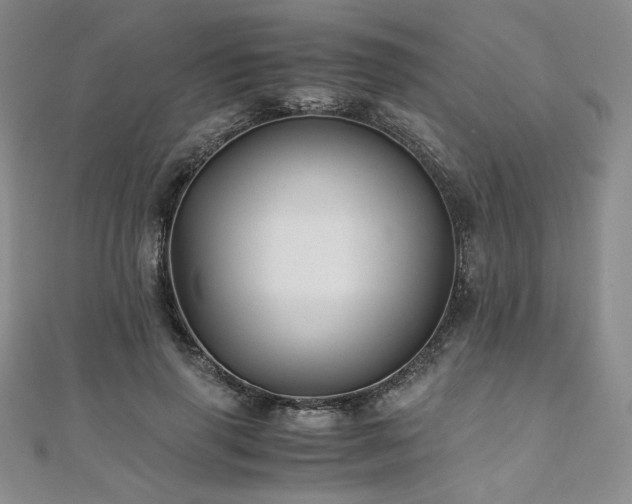 X0000111010645200906191612
