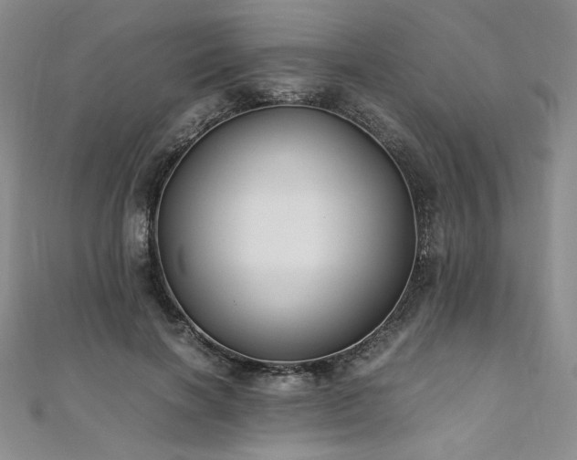 X0000111010646200906191612