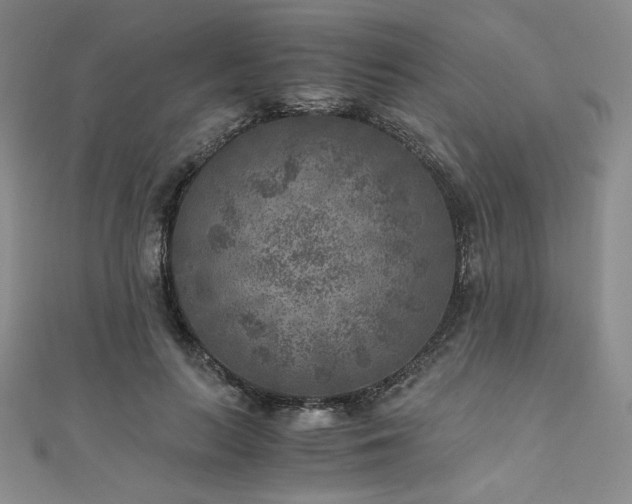 X0000111010647200906191612