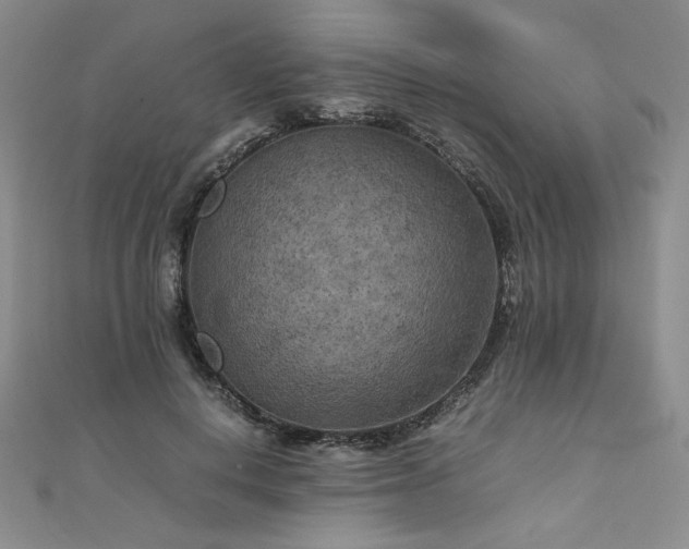 X0000111010648200906191612